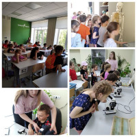 Пришкольный лагерь "Солнышко", посетил биологическую лабораторию на базе  Центра "Точка роста"