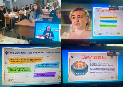 Проектория. «Оператор птицефабрик и механизированных ферм»