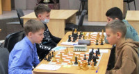  Всероссийский конкурс по шахматам «Белая ладья»